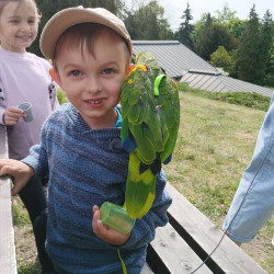 Foto
