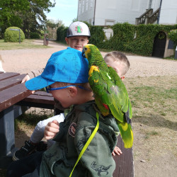 Foto