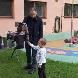 Foto