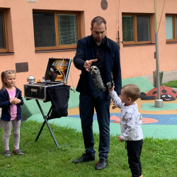 Foto