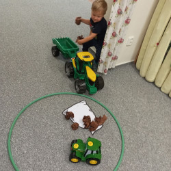 Foto